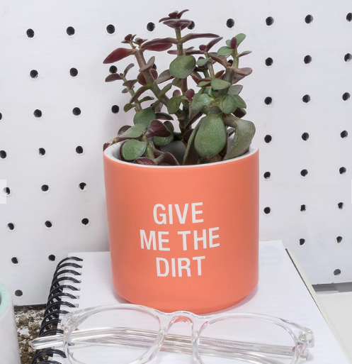 Give Me the Dirt Planter